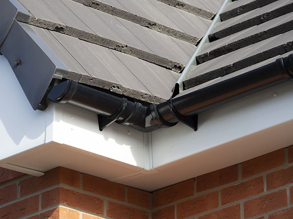 Soffits and Gutters